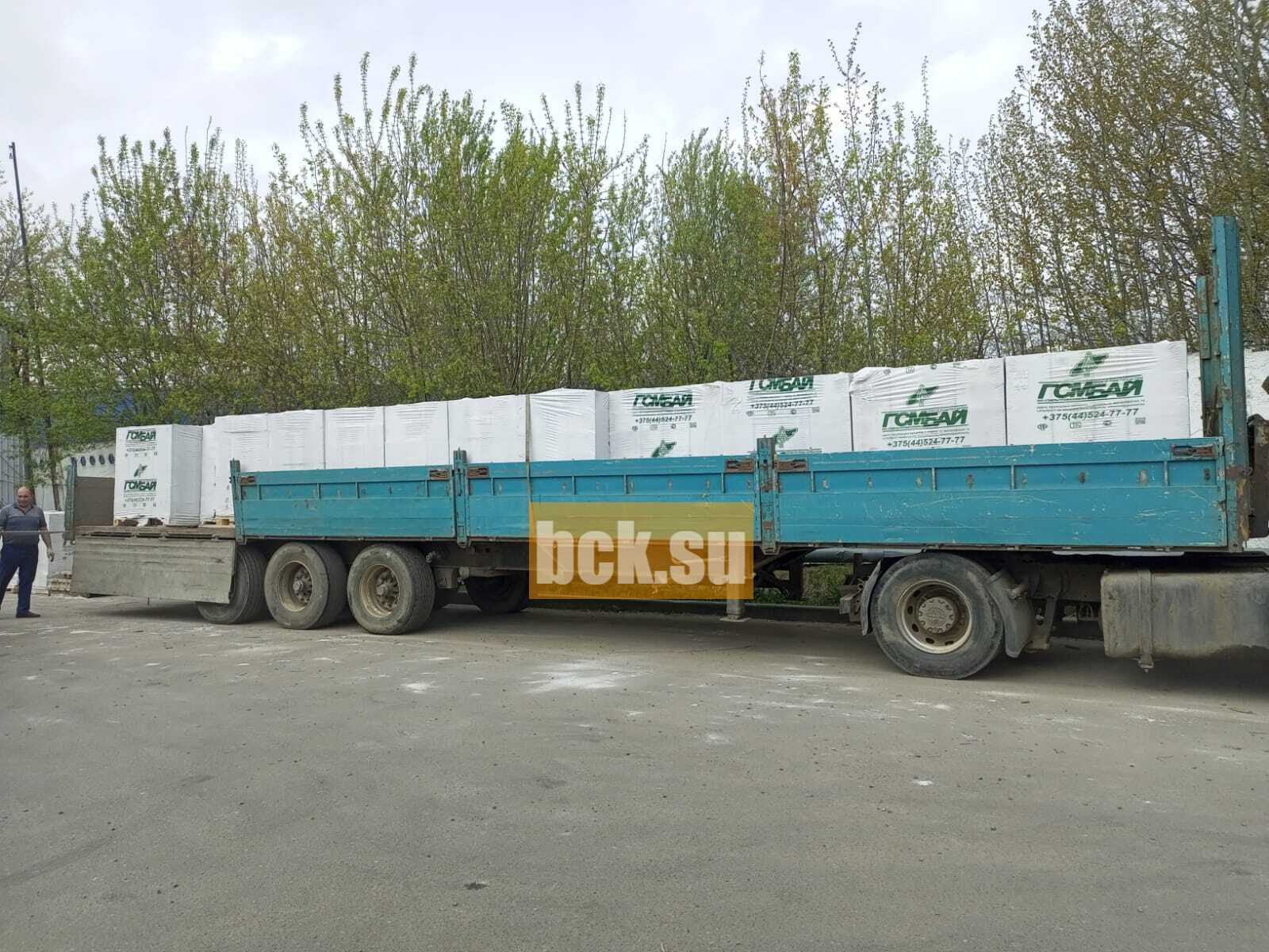 25045